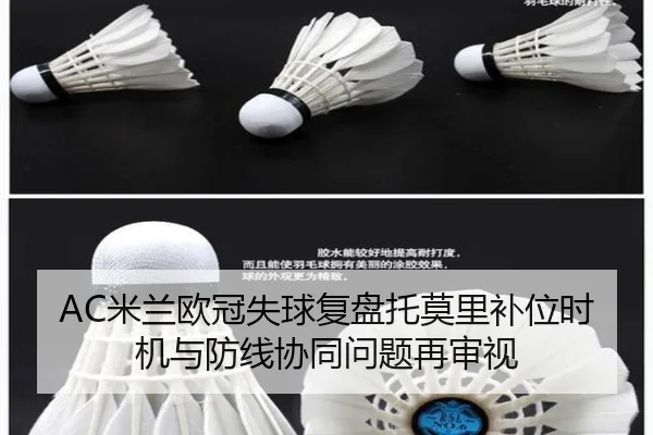img_1785413671297_95_1_832.jpg